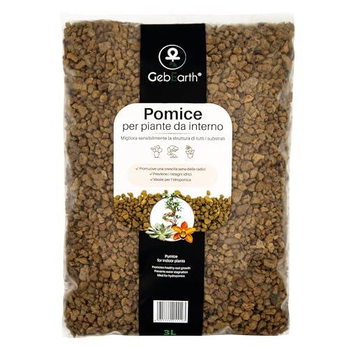 GebEarth® | Pomice per piante fine da 3/6 mm | Migliora la salute radicale di Bonsai e Piante Grasse | Leggera e ad alto potere drenante | Priva di calcare attivo e pH Neutro [3L]