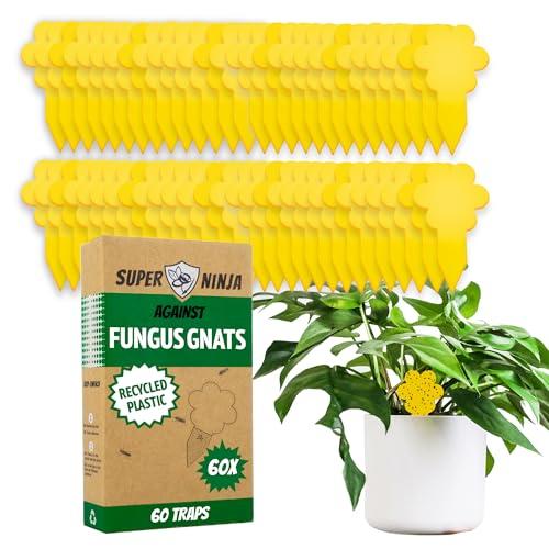 Trappola per Moscerini - 60 trappole - Altamente Efficaci ed Ecologiche per Moscerini Piante - Anti Moscerini - Facile da Usare - Fino a 3 Mesi - Super Ninja