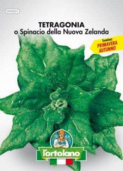 Sementi orticole di qualità l'ortolano in busta termosaldata (160 varietà) (TETRAGONIA O SPINACIO DELLA NUOVA ZELANDA)
