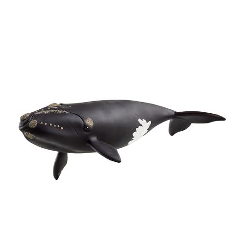schleich 14878 Ballena franca glacial, da 3 anni, WILD LIFE - figura, 10 x 19 x 5 cm