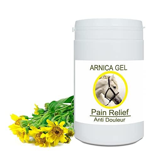 Arnica Gel FORTE & Concentrato 90% di Estratto di Arnica BIO da Agricoltura Biologica. Gel Massaggi Muscolari e Articolari. Idratante per la Pelle - 1000 g
