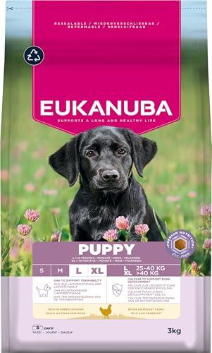Eukanuba Mangime per cuccioli con pollo fresco per razze di taglia grande, mangime secco premium per cani giovani, 3 kg