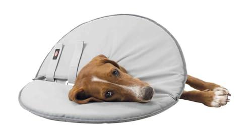 Trixie Collare Protettivo, Grande, 46-49 cm/24 cm, Grigio