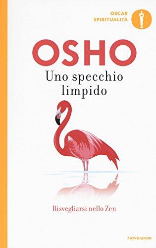 Uno specchio limpido. Risvegliarsi nello zen
