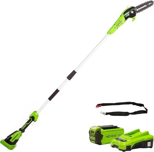 Greenworks G40PSFK2 Sega ad Asta a Batteria, Lunghezza Barra 8 Pollice (20cm), Velocità Catena 8m/s, 3,64kg, Auto-Lubrificante, Asta 2.58m, Batteria 40V 2Ah e Caricabatterie, Garanzia 3 Anni