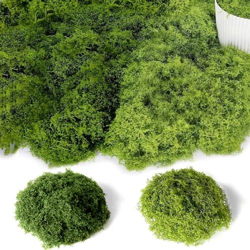 Muschio Finto per Decorazioni 100g, Muschio Stabilizzato Nylon, Artificiale Muschio Sintetico per Acquario Modellismo Terrario Casa Decori