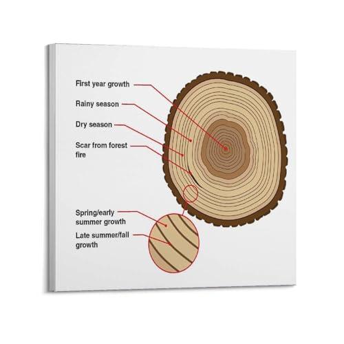 HNPBB Poster su tela, motivo: natura, vintage, motivo: ruota dell'albero dell'anno, poster decorativo da parete e stampa artistica moderna, per camera da letto, 50 x 50 cm