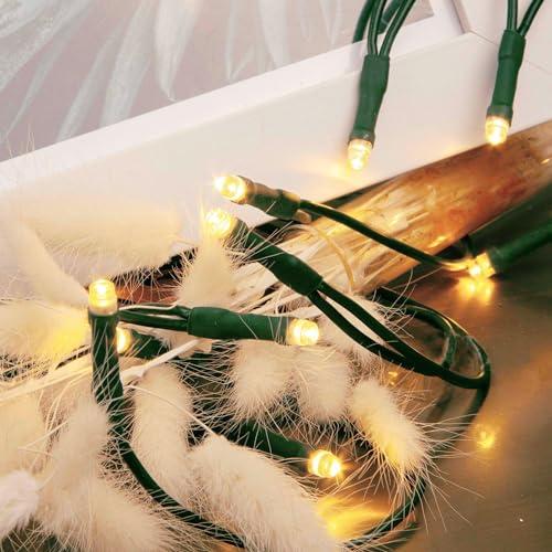 Hellum LED mini luci da fata per interni, lunghezza di illuminazione 2,85 m 20 luci da fata LED per interni, classico bianco caldo con spina, < 59lm, albero di Natale cavo verde, 577549