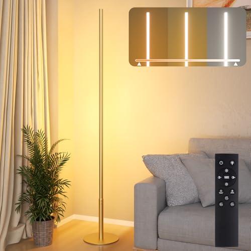 Hzitcigm Lampade da Terra per Soggiorno, Dimmerabile Lampada da Terra LED con Telecomando, Regolabili Continuo Luminosità & Colori 2700K-6500K Piantana Lampada da Terra Angolare per Camera, Ufficio