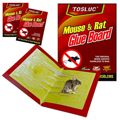 La Più Potente Trappola per Topi Grandi e Piccoli -NEW 2024-2 Trappole per Topi con Colla Topi Super Adesiva più Forte per Cattura da Interno Esterno Topicida Professionale No Veleno