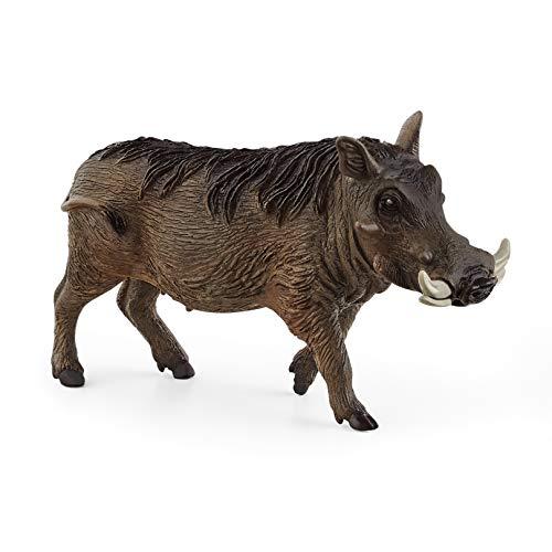 SCHLEICH-2514829 Wild Life Animale Figurine, Multicolore, 14843