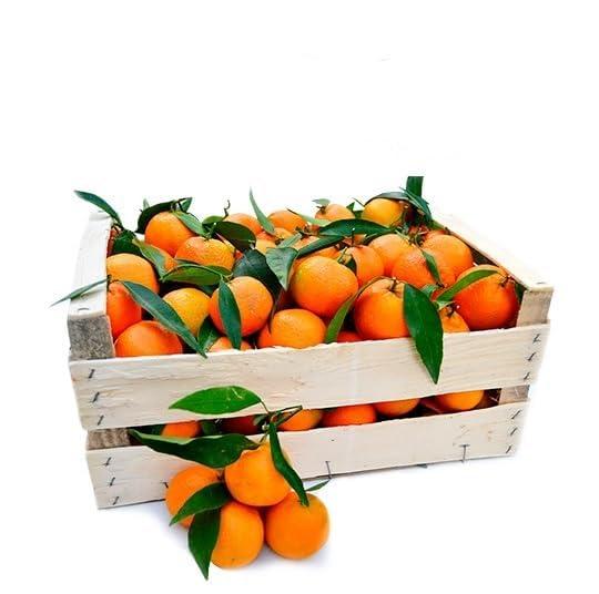 CLEMENTINE - CONFEZIONE 9 KG - DOLCI E SENZA SEMI - Prodotte a CORIGLIANO-ROSSANO nella Piana di Sibari - IMBALLAGGIO SALVA FRESCHEZZA - Azienda Agricola L'Ideale