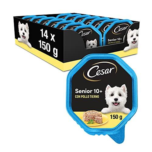 Cesar - Cibo Umido per Cani Senior 10+ con Delicato