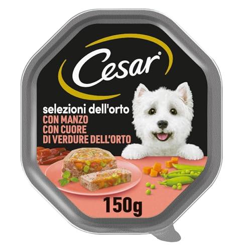 Cesar Selezioni dell'Orto Cibo per Cane con Manzo con Cuore di Verdure dell'Orto 150 g - 14 Vaschette, Mix, 150 g (Confezione da 1)