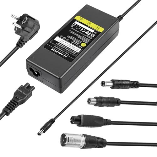 LabTEC Caricabatterie bici elettrica 42V 2A per 36V 2A 10S batteria Li-on Caricatore Monopattino, Adattatore bici Elettrica Hoverboard Scooter Ninebot Xiaomi 365 4 in 1 Universale Connettori