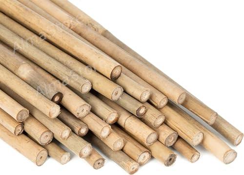 AlmaStore Canne di bambù Resistenti e Naturali - Canne Bamboo per orto, pomodori, Sostegno ortaggi - Bambu da Esterno - Arredamento (25 PZ, h.210cm / Ø20-22mm)