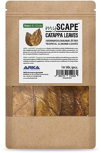 Foglie di mandorlo indiano per acquario – ARKA mySCAPE-CATAPPA 10 pezzi (8–12 cm) – cura naturale dell’acqua dolce – rafforza pesci & gamberetti – abbassa pH – stimola la riproduzione