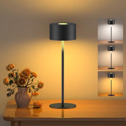 Lampada da Tavolo Senza Fili Tutto in Metallo, 3 Temperature di Luce & Dimmering infinito, Impermeabilità IP54 | Questa lampada portable è perfetta per testa di letto, camera da letto, sala da pranzo