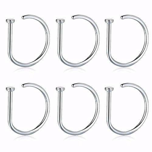 EIHI Anelli al Naso in Acciaio Inossidabile - Confezione da 6, Inclusi Anelli Nasolabiali e Finti, Unisex