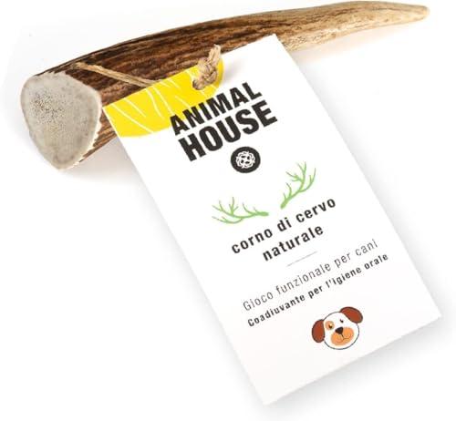 Animal House - Corna di Cervo per Cani Intere - Masticativo Naturale al 100% - Rafforza Igiene Orale - Resistenti e Duraturi - Disponibili in Tutte Le Taglie (XS)