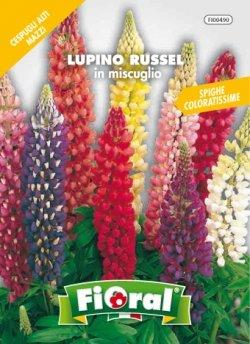 Sementi da fiore di qualità in bustina per uso amatoriale (LUPINO RUSSEL IN MISCUGLIO)