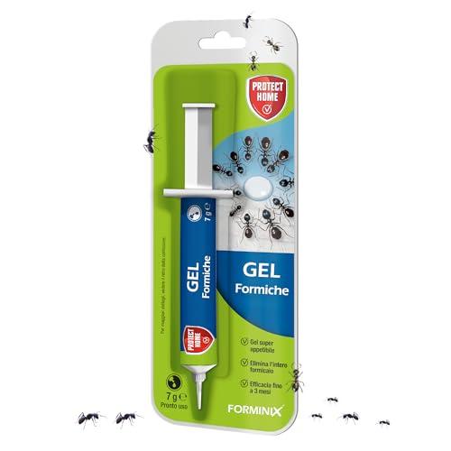 Protect Home Forminix gel. Insetticida per formiche pronto uso. Efficace, elimina il nido in breve tempo. Per interni ed esterni. 7 g