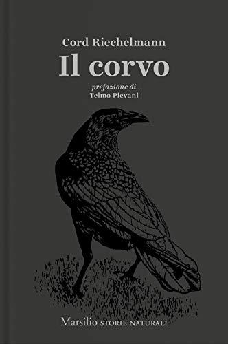 Il corvo