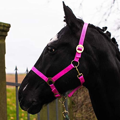 Cavezza per cavallo, sangue caldo, purosangue, sangue freddo – cavezza per stalla, cavezza per pascolo, 2 regolazioni su sottogola e nuca – sicura e antistrappo (rosa, pony)
