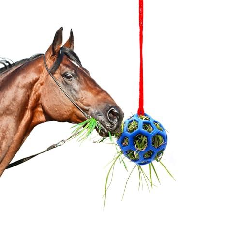 Dellyy Palla per Fieno Cavalli e Pecore - Utilizzabile in Stalle, Paddock, Scuderie, Fattorie, Ippodromi