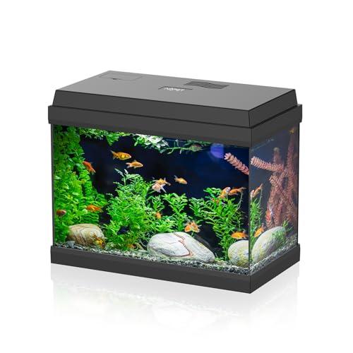 AQPET Acquario in Vetro per Pesci Tropicali Completo di Accessori Filtro Luce Simply, 30 39x22x30 cm 30 Litri