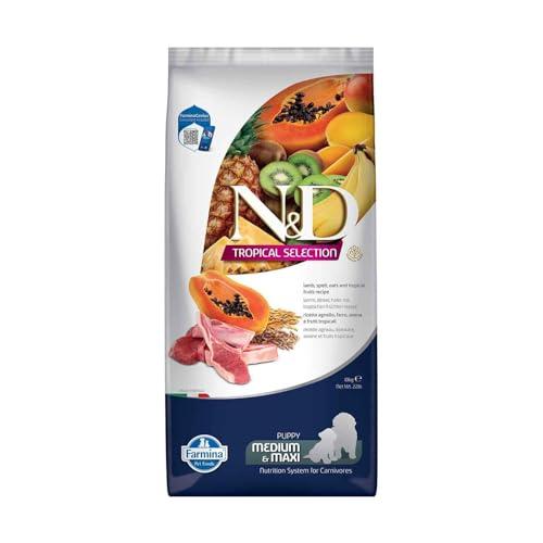 Farmina, N&D Tropical, Agnello e Frutti tropicali, Cani Puppy Medium/Maxi, 10kg