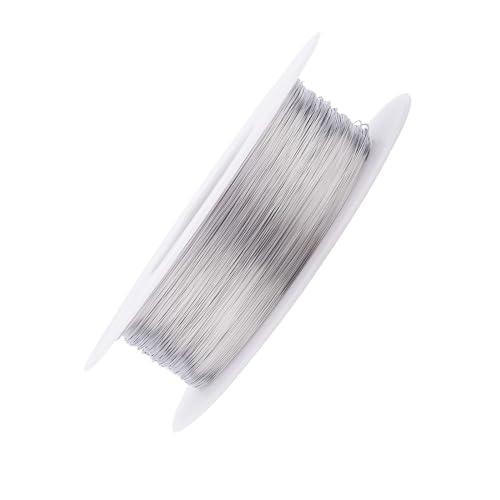 Filo di Acciaio Inox 304 0.1mm 328Ft Morbido Solido Nudo Singolo Antiruggine per Artigianato - Ferro Morbido
