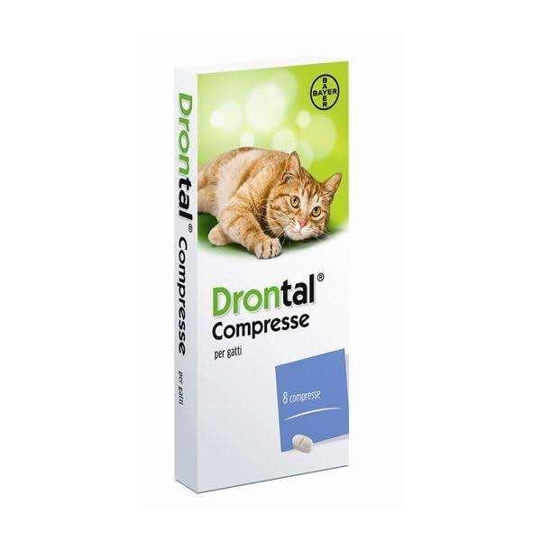 Drontal vermifugo gatto 8 compresse
