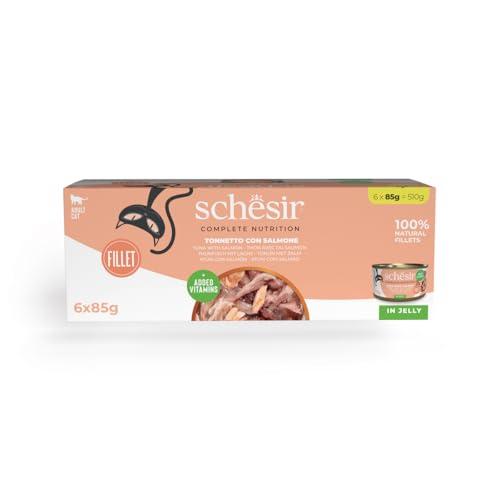 Schesir, Tonnetto con Salmone in Gelatina, Alimento Umido Completo per Gatti, in Lattina, Con Vitamine Aggiunte, 100% Naturale, 6 x 85g