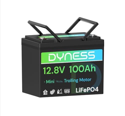 Dyness Batteria al Litio 12V 100Ah LiFePO4 Batteria Mini con BMS 100A, Protezione da Bassa Temperatura, Max 15000 cicli, per Camper, Solari Domestici, Motori di Barche