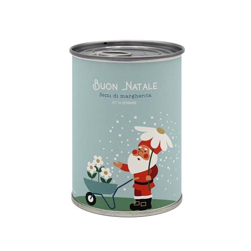 Kit di Coltivazione di Fiori da Regalare con Messaggio - Regalo di Natale per Donna e Uomo Regalo Originale Amici Famiglia Feste - Facilissimo da Usare - 100% Realizzato in Europa (Buon Natale)