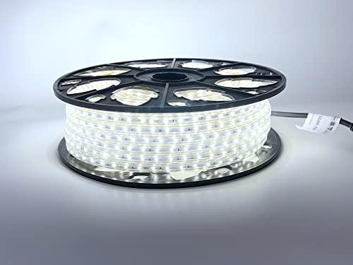 LEDZEIT - Profi Serie - Striscia LED 50m con silicone, esterno e interno, 220V-240V, SMD2835, 60LED/m, bianco freddo 6500K, dimmerabile, IP65, luce continua, per edilizia, impresa, progetto
