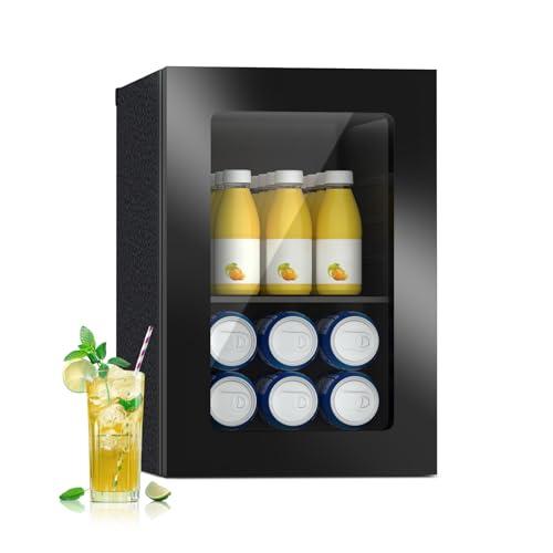 DollarDash Frigorifero Mini da 20L, Frigorifero per Bevande Autonomo con Porta in Vetro, Capienza 24 Lattine per Bibite o Birra, con Ripiani Regolabili, per Bar Domestico o Ufficio (Nero)