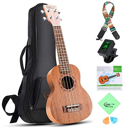 Hricane Ukulele Professionale Opaco Kit Ukulele Concert con Busta Grosso E altri Accessori