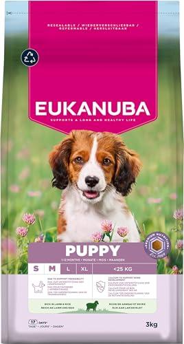 Eukanuba Mangime per cuccioli con agnello e riso per razze di taglia piccola e media, mangime secco premium per cani giovani, 3 kg